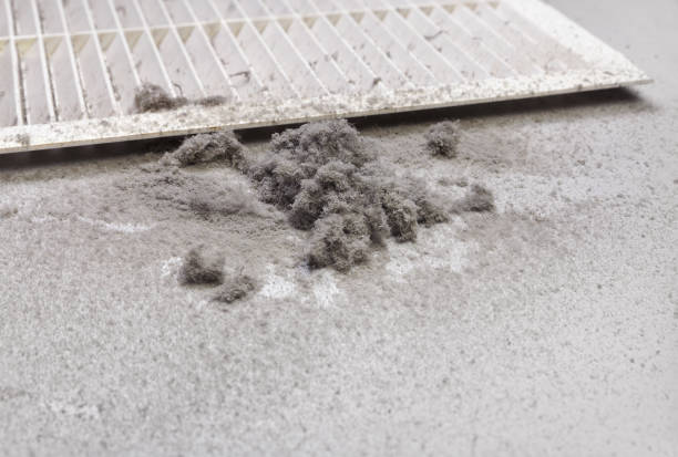 Best Air Duct Cleaning Near Me  in South Temple, PA